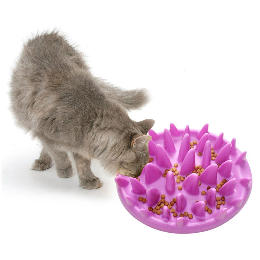 ظرف غذای آرام خور گربه مناسب تمام نژادها